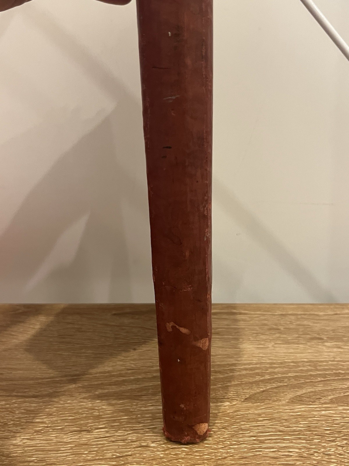 Antique 1890 German Birthday Book w/ Italian Family History, Trieste, NY, Brazil