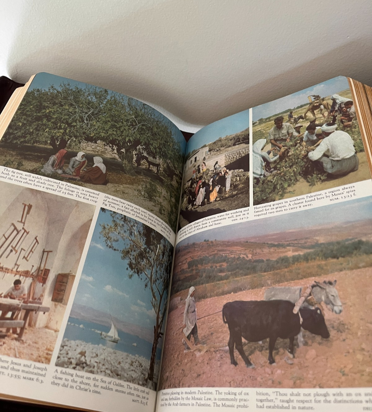 Vintage Family Heritage Bible 1955 King James Illustrated Red Letter Edition NEW