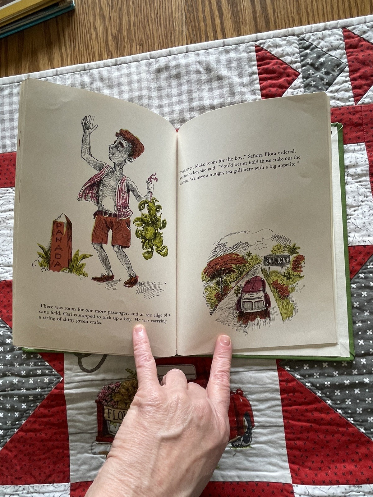 Ramon And The Pirate Gull, Puerto Rico, Robert Barry, Vintage HC Children’s