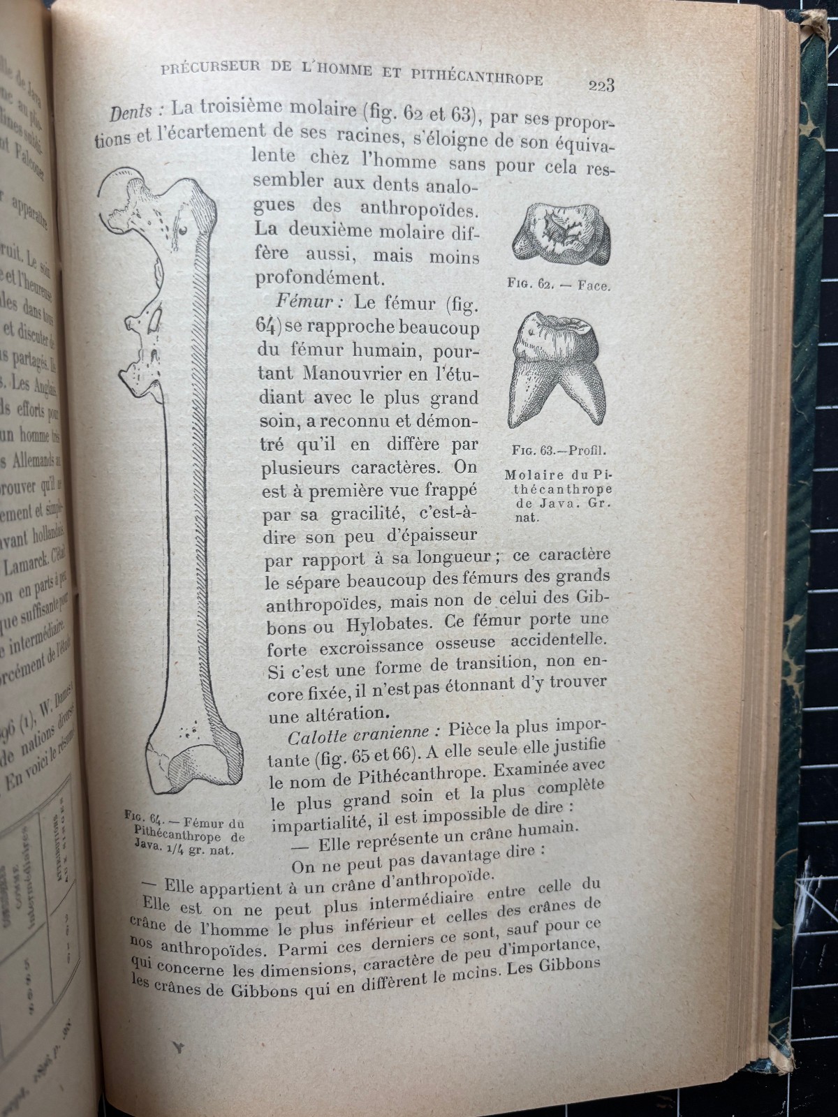 Antique French Book 1900 Mortillet Nation Française Anthropologie Prehistoire