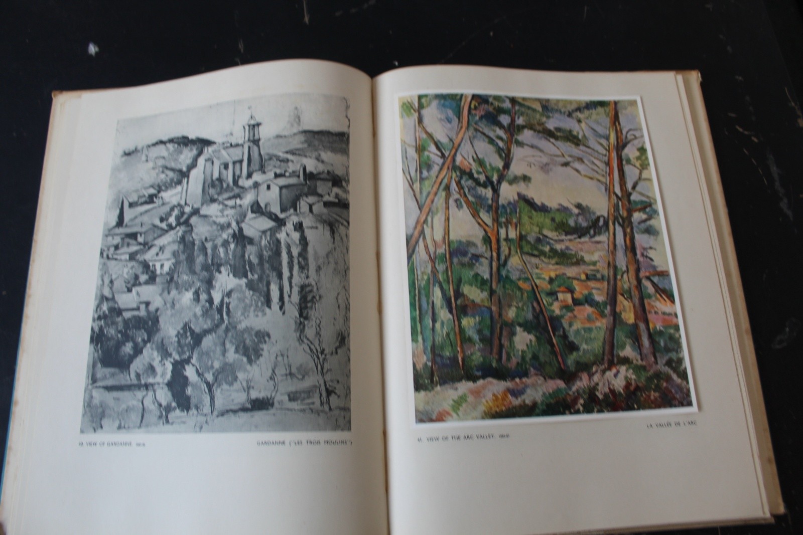 Cézanne Phaidon Art History Book – 113 Plates 18 In Full Color Vintage Hardback