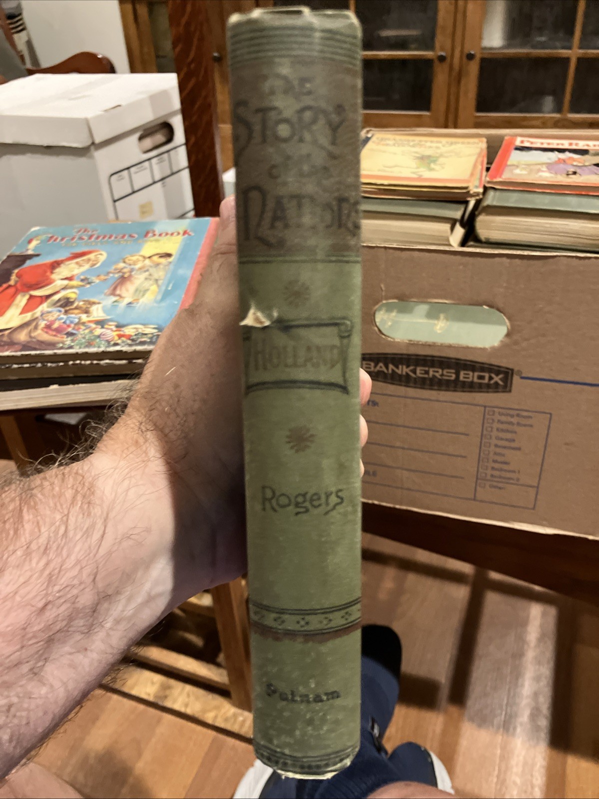 Holland-STORY Of NATIONS SERIES 1889 By James E. Thorlod Rogers