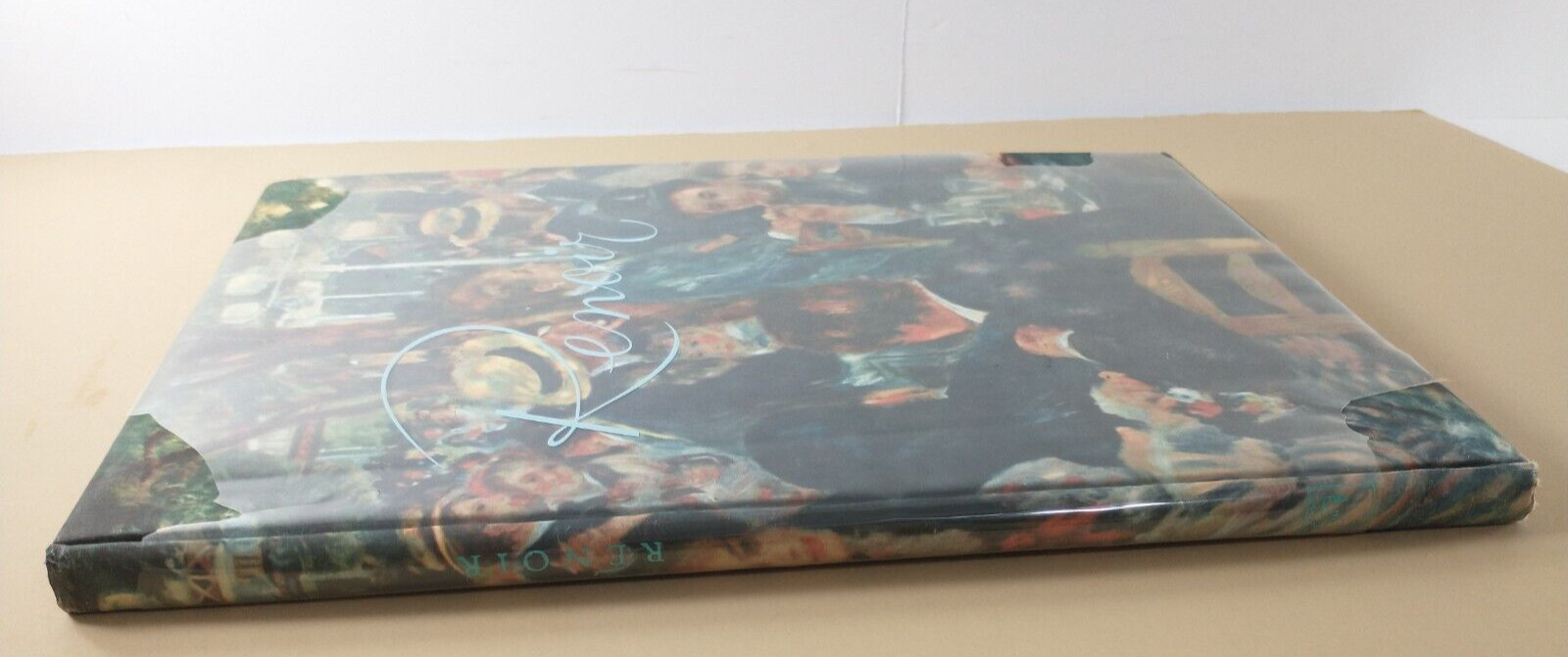 Vintage REMBRANDT & RENOIR Art Print Reproduction Book Lot From ITALY GERMANY