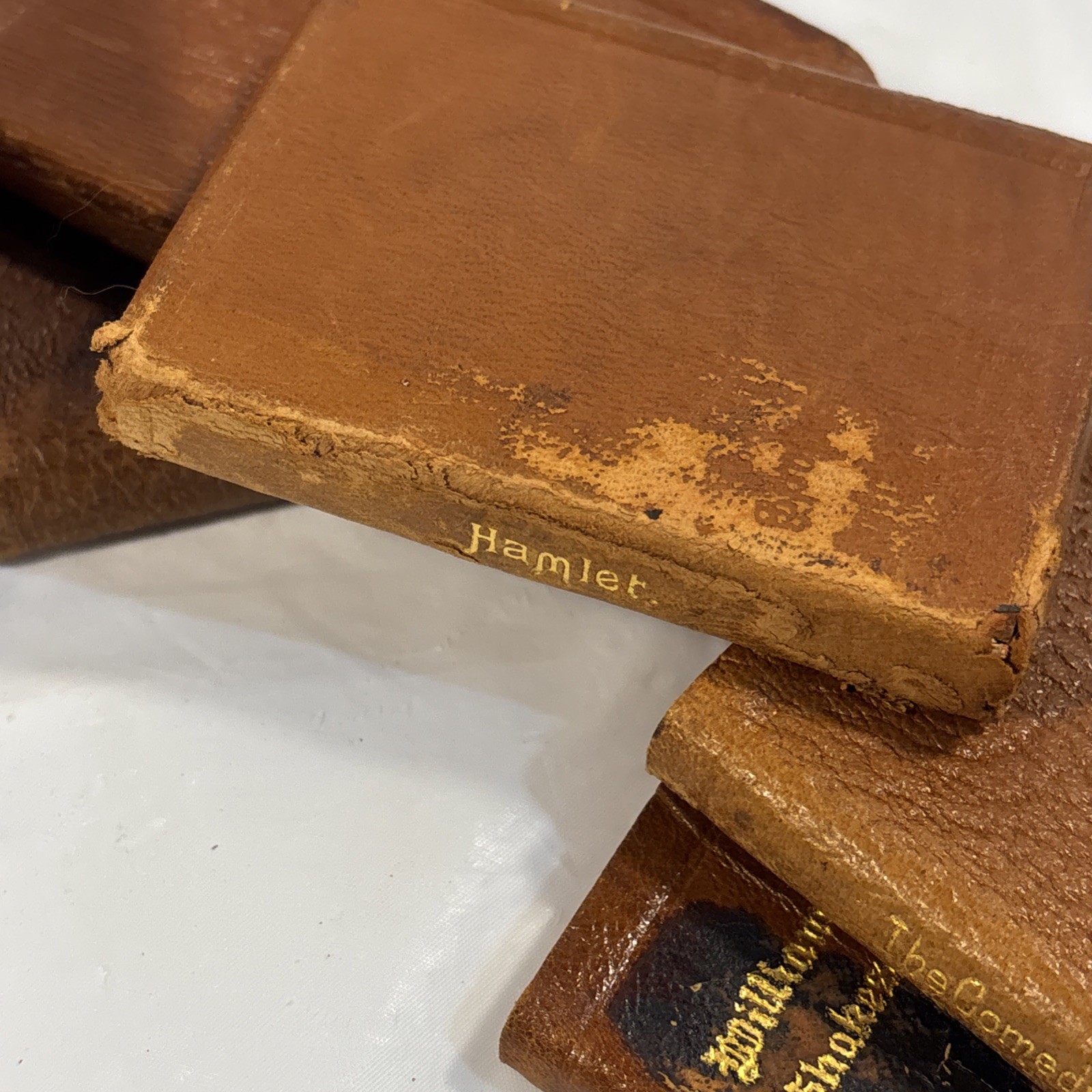 Antique Miniature Shakespeare 22 Vol Set Knickerbocker Leather Novelty c1920s?