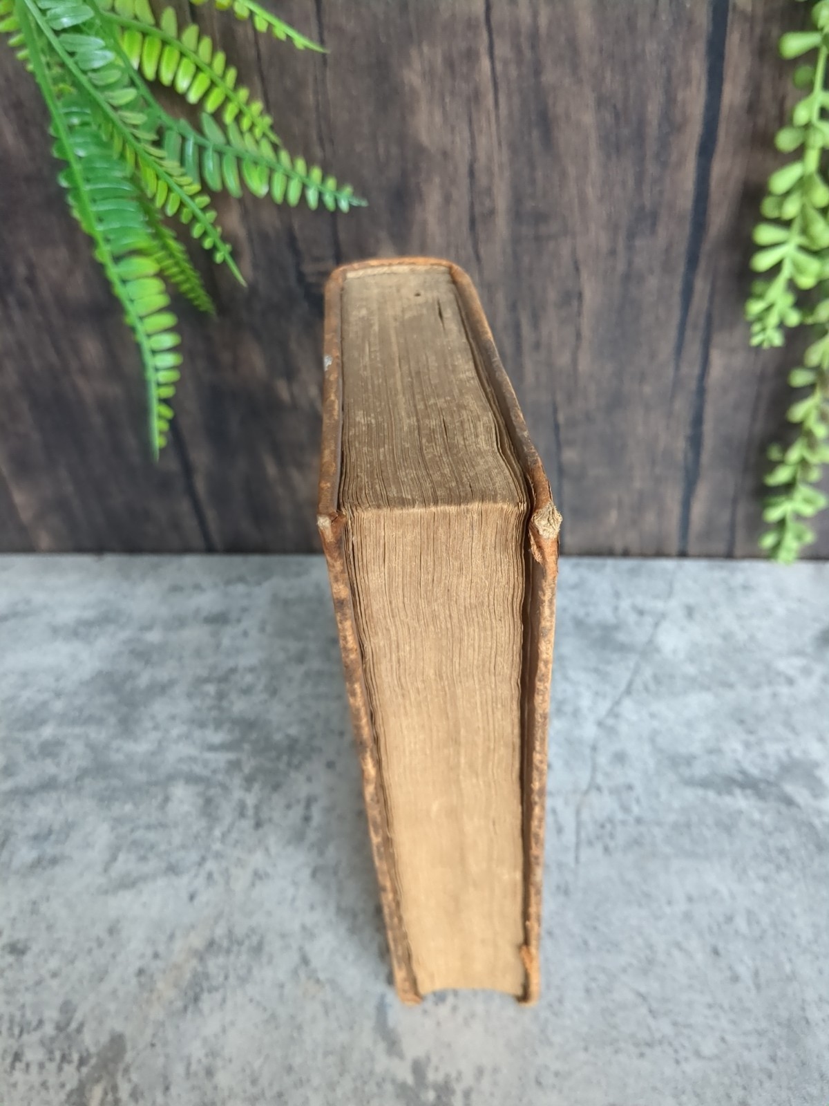 1817 Religious Book “Treatises on Various Theological Subjects” Scott, vol 6