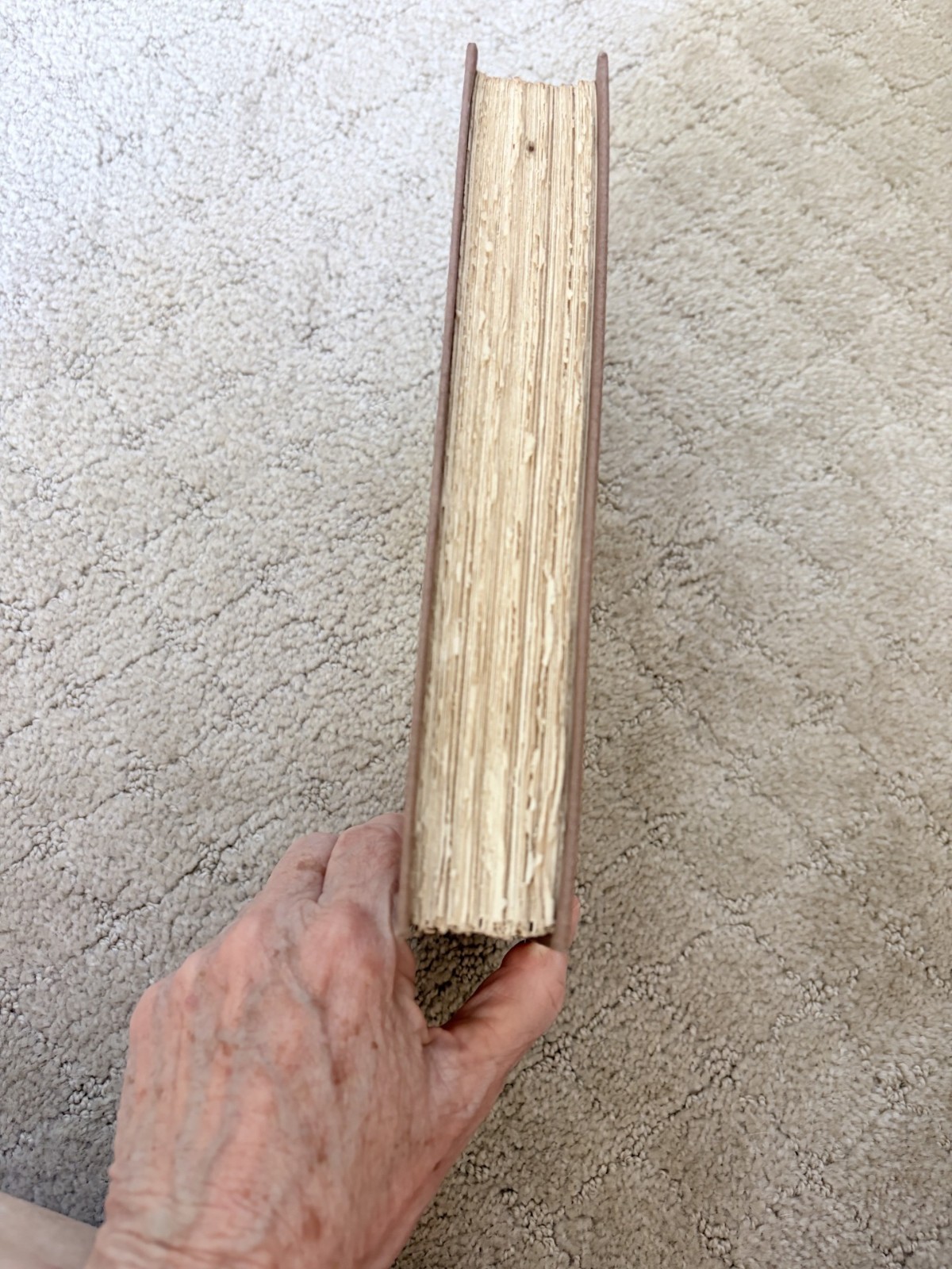 Annette and Sylvie by Romain Rolland Signed and numbered (491) de Luxe Edition