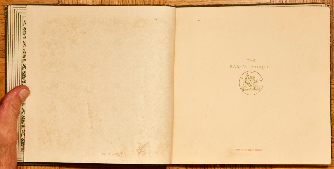 1878? 1st? HC; The Baby’s Bouquet by Walter Crane; Frederick Warne & CO.