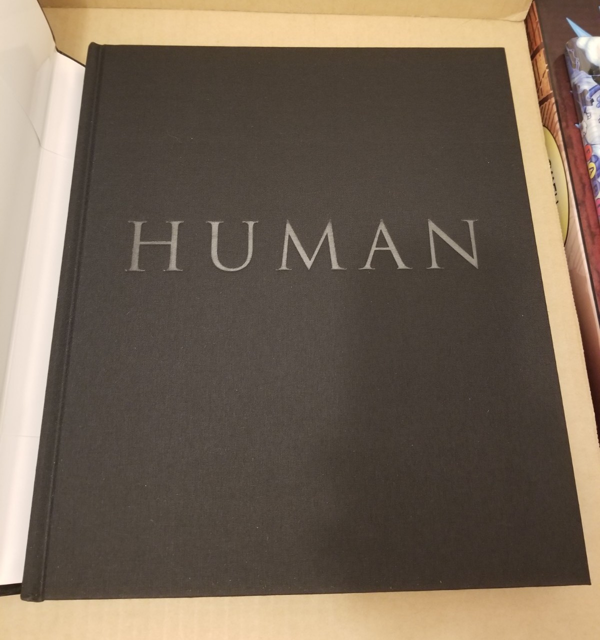 HUMAN THE ART OF BETH CAVENER SIGNED HARDCOVER HC 1ST PRINT 2019