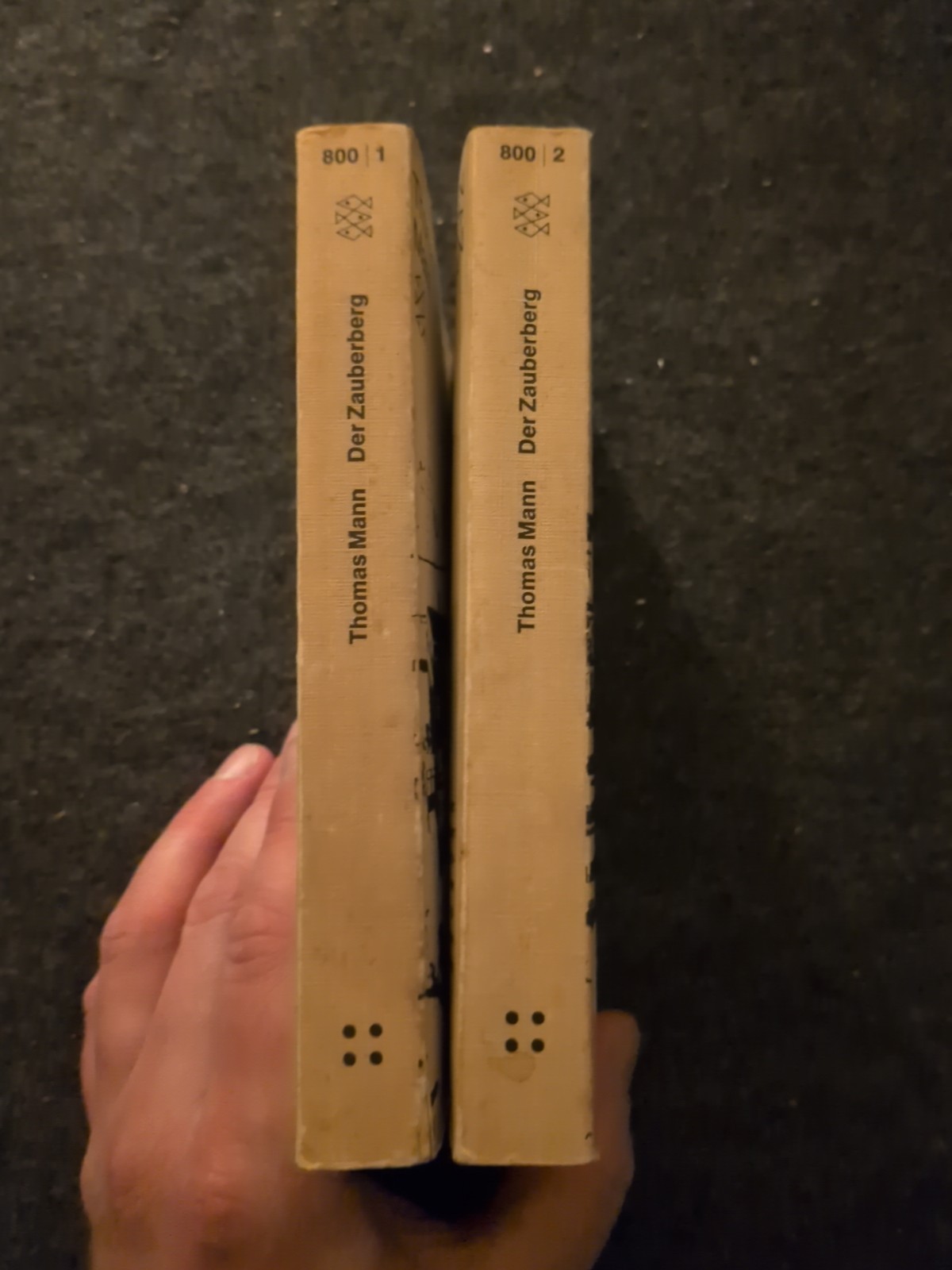 Thomas Mann Der Zauberer Roman book 1 & 2 German text (W)