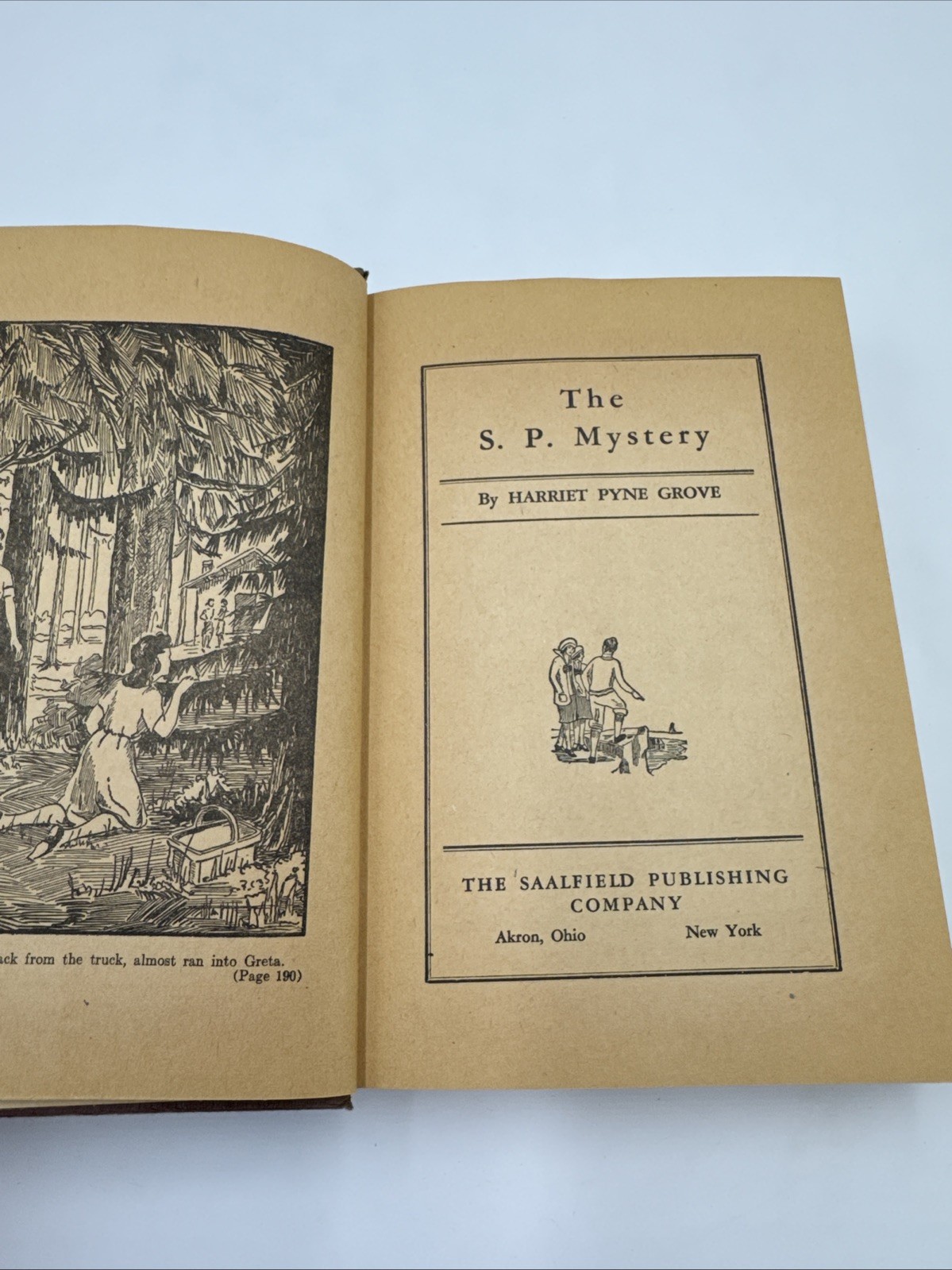 The S.P. Mystery 1930 Harriet Pyne Grove HCDJ Vintage Girls Juvenile Fiction