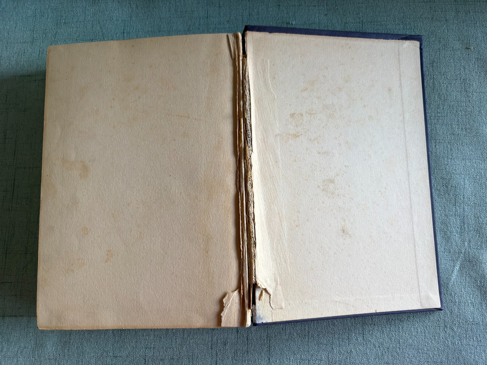 The Story Bible by Margaret Sangster- 1905 Antique Christian Herald Edition
