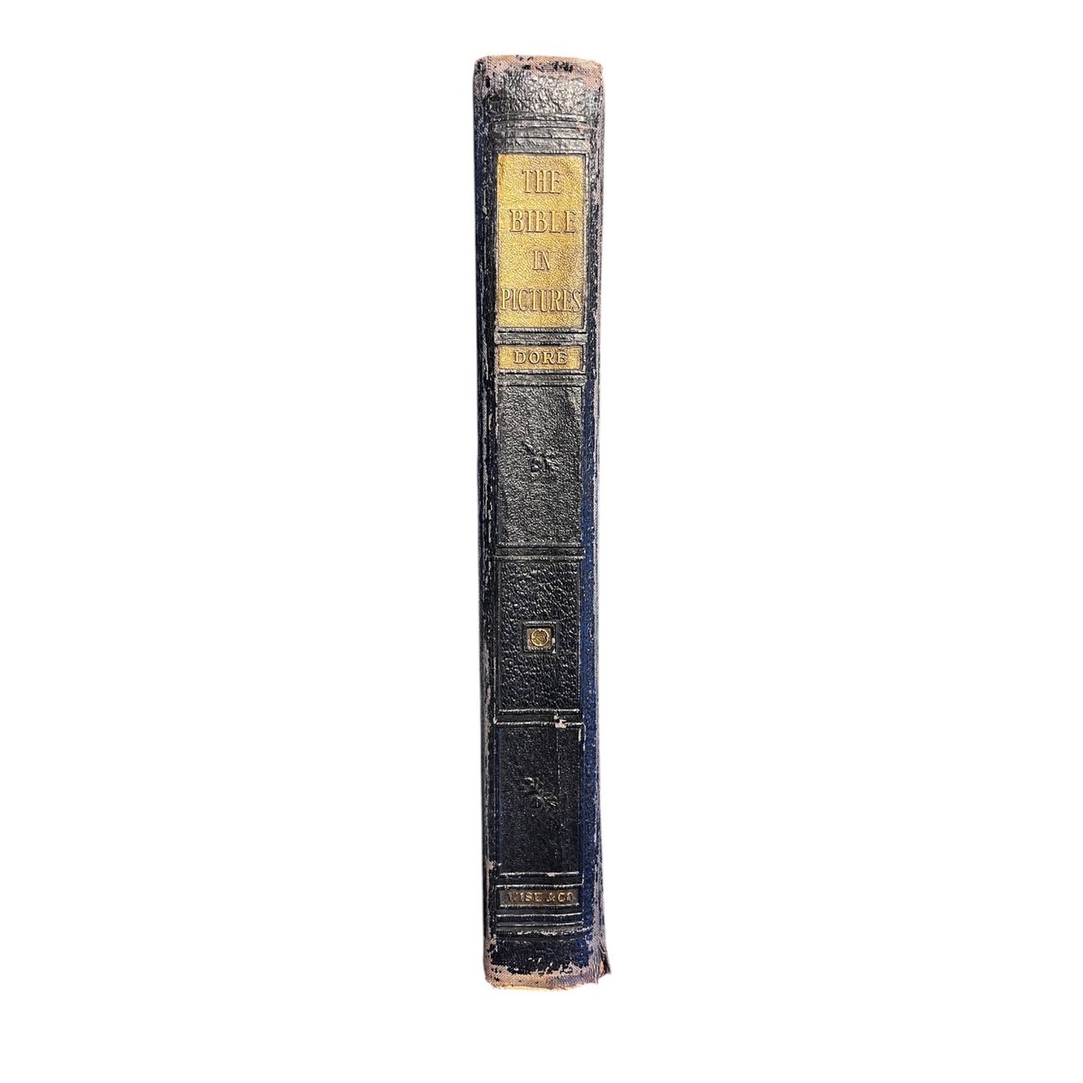 The Bible in Pictures by Gustave Doré