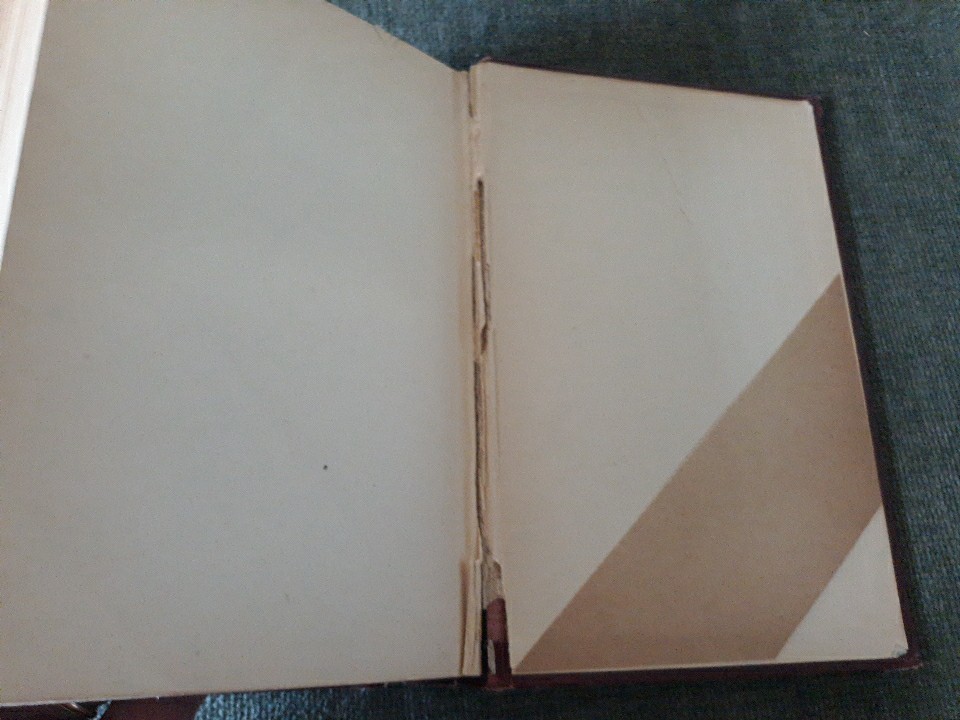 2 Vintage Philosophy Books-The New Realism + Eng. & Am. Phil. Since 1800 X-lib.