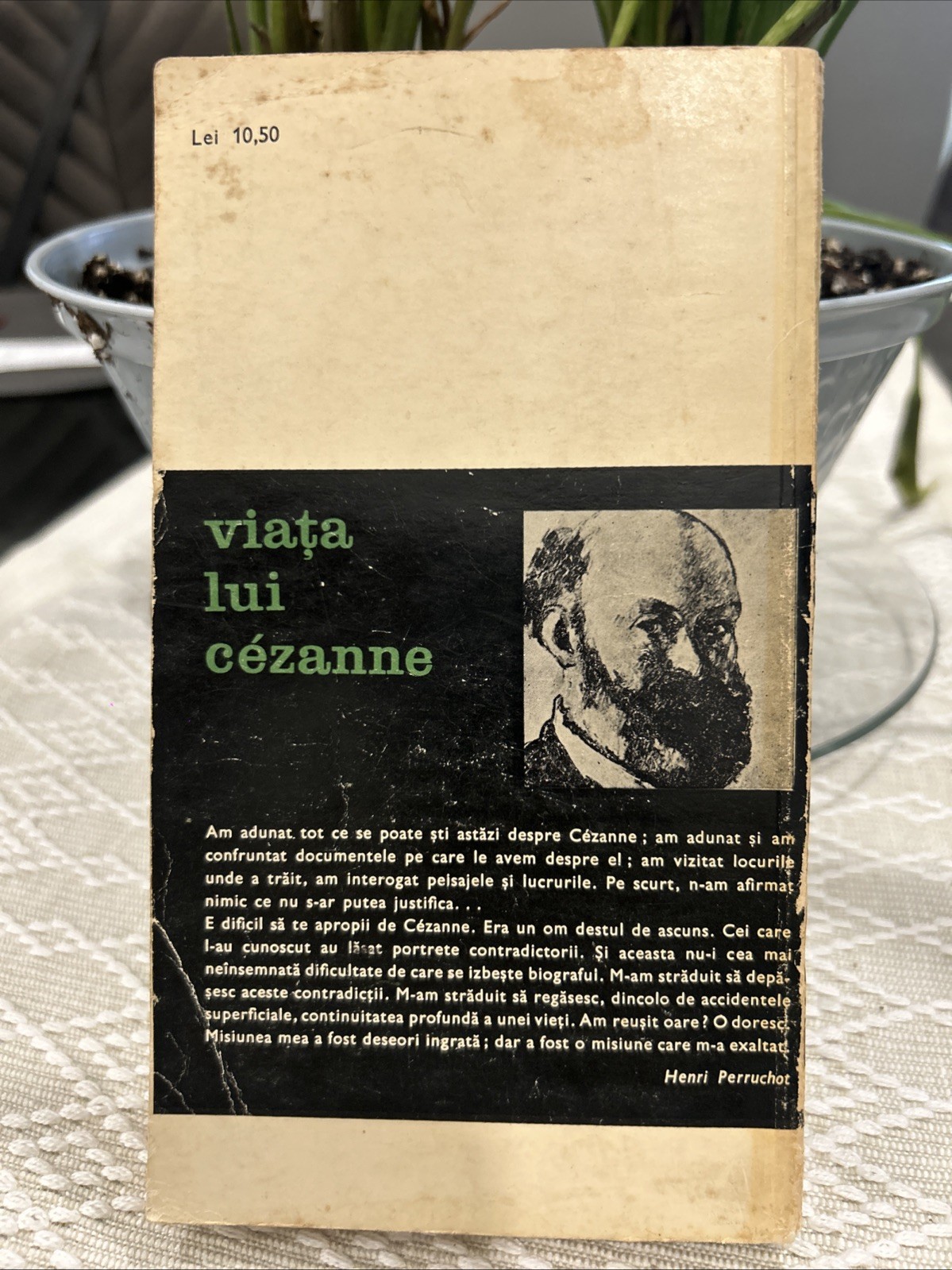 viața lui cézanne