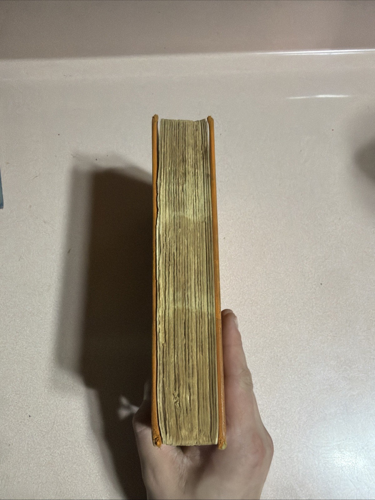 1927 WINE WOMEN AND WAR A Diary Of Disillusionment ANONYMOUS WWI Doughboy AEF