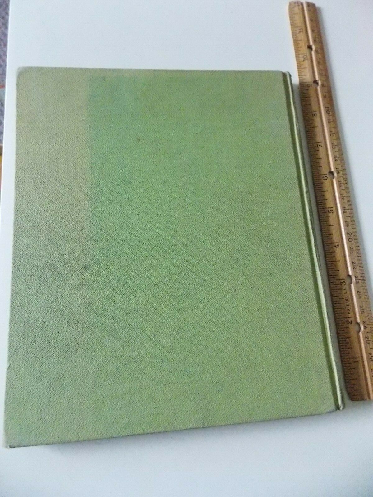 White Tail King of the Forest by Nell Stolp Smock (HC 1938) #480