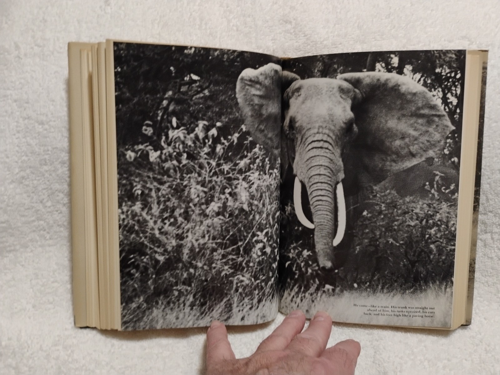 Use Enough Gun Ruark On Hunting Big Game by Robert Ruark 1966 HC 1st Ed & Print