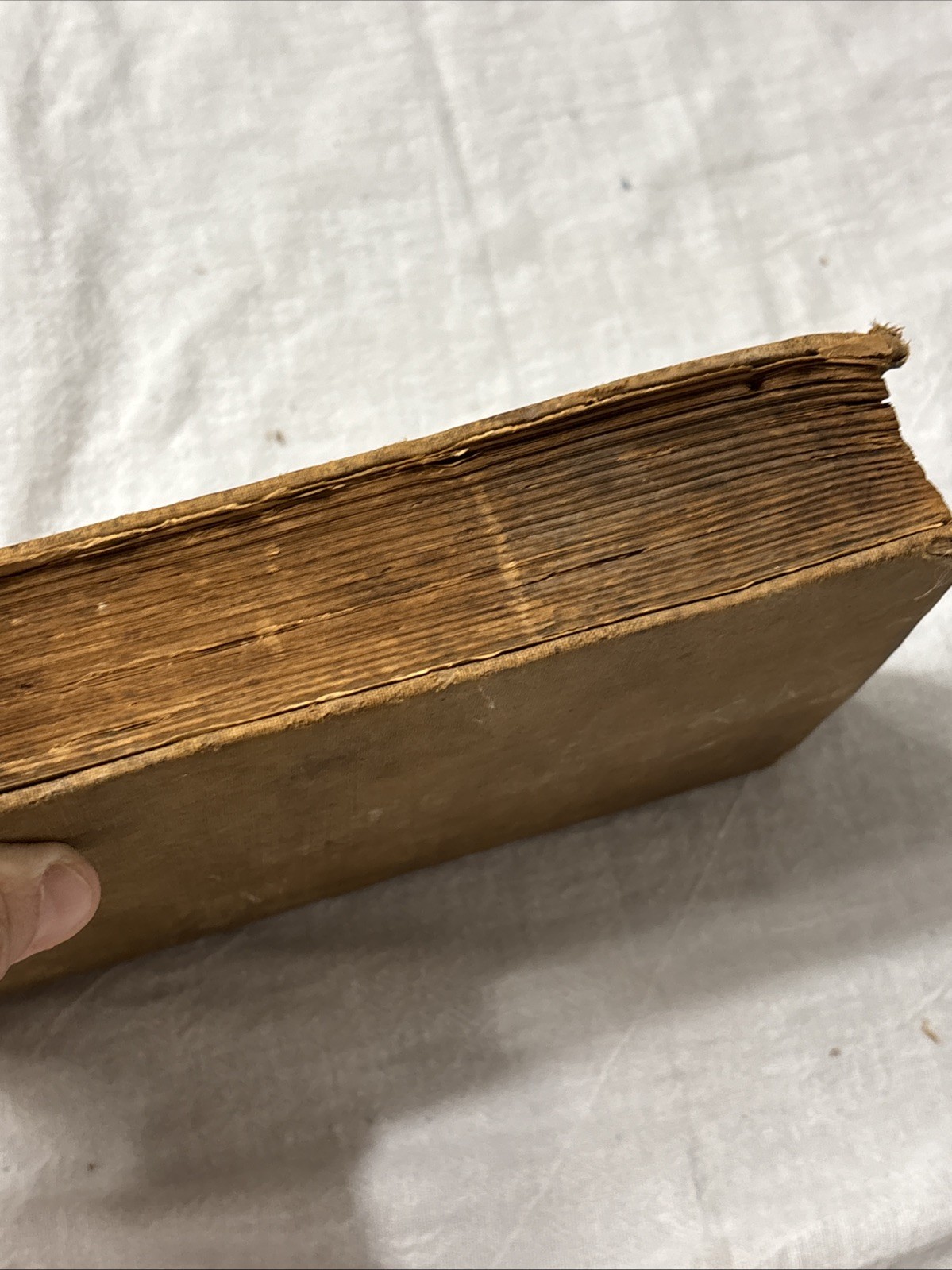 1892 Antique Cook Book Everyday Cookbook Illustrated Miss E Neil