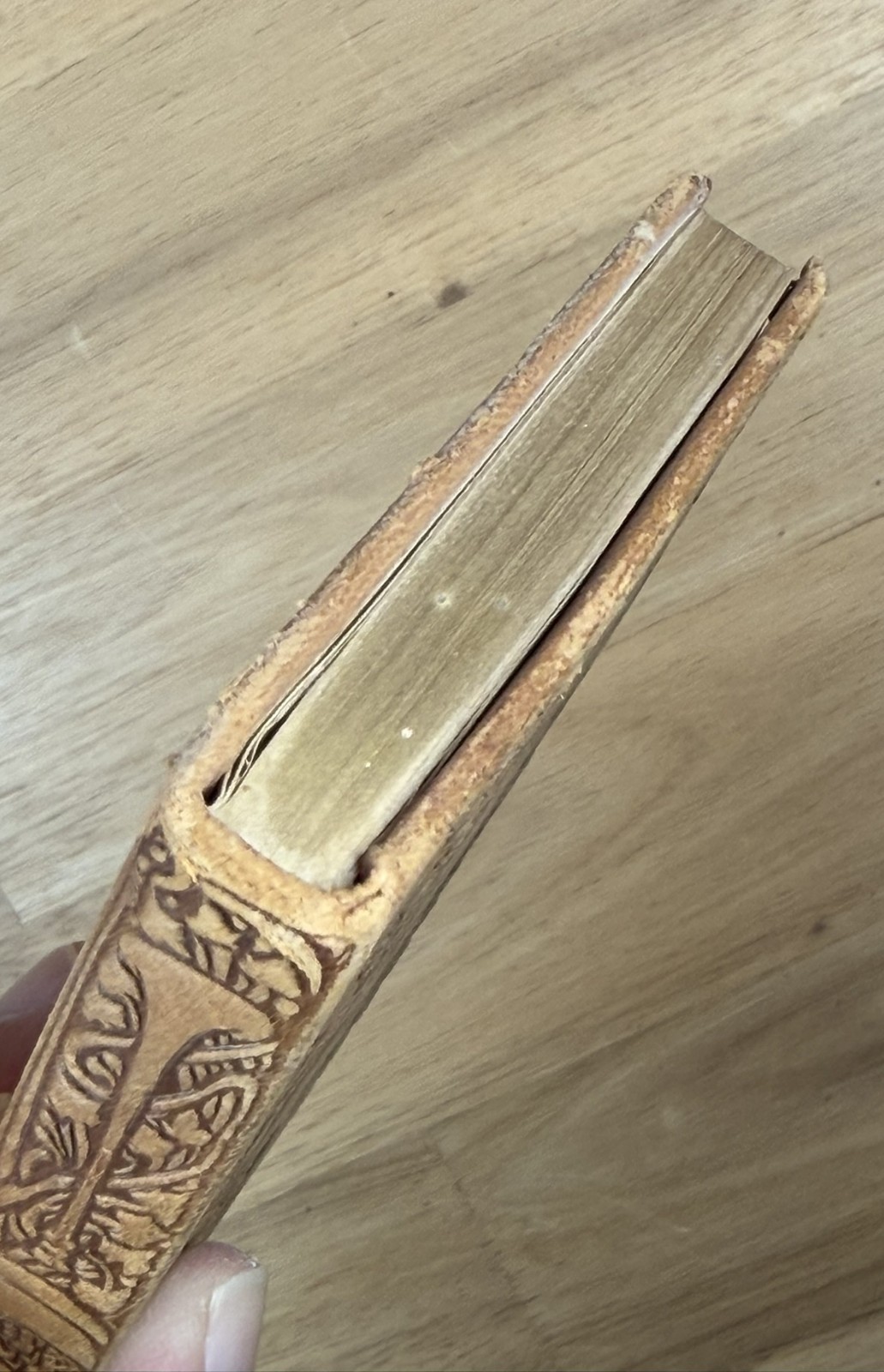 The Seven Poor Travelers / The Holly Tree 1907 Charles Dickens Embossed Leather