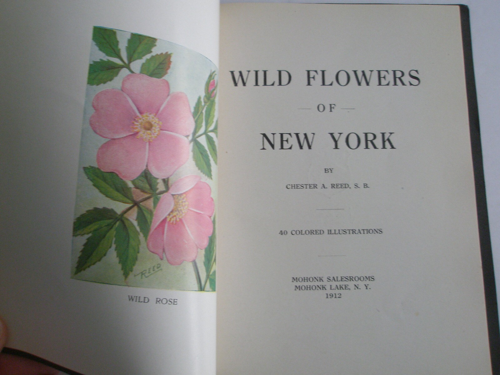 Wild Flowers of New York 1912 Chester Reed Mohonk Lake NY Illustrated w/box