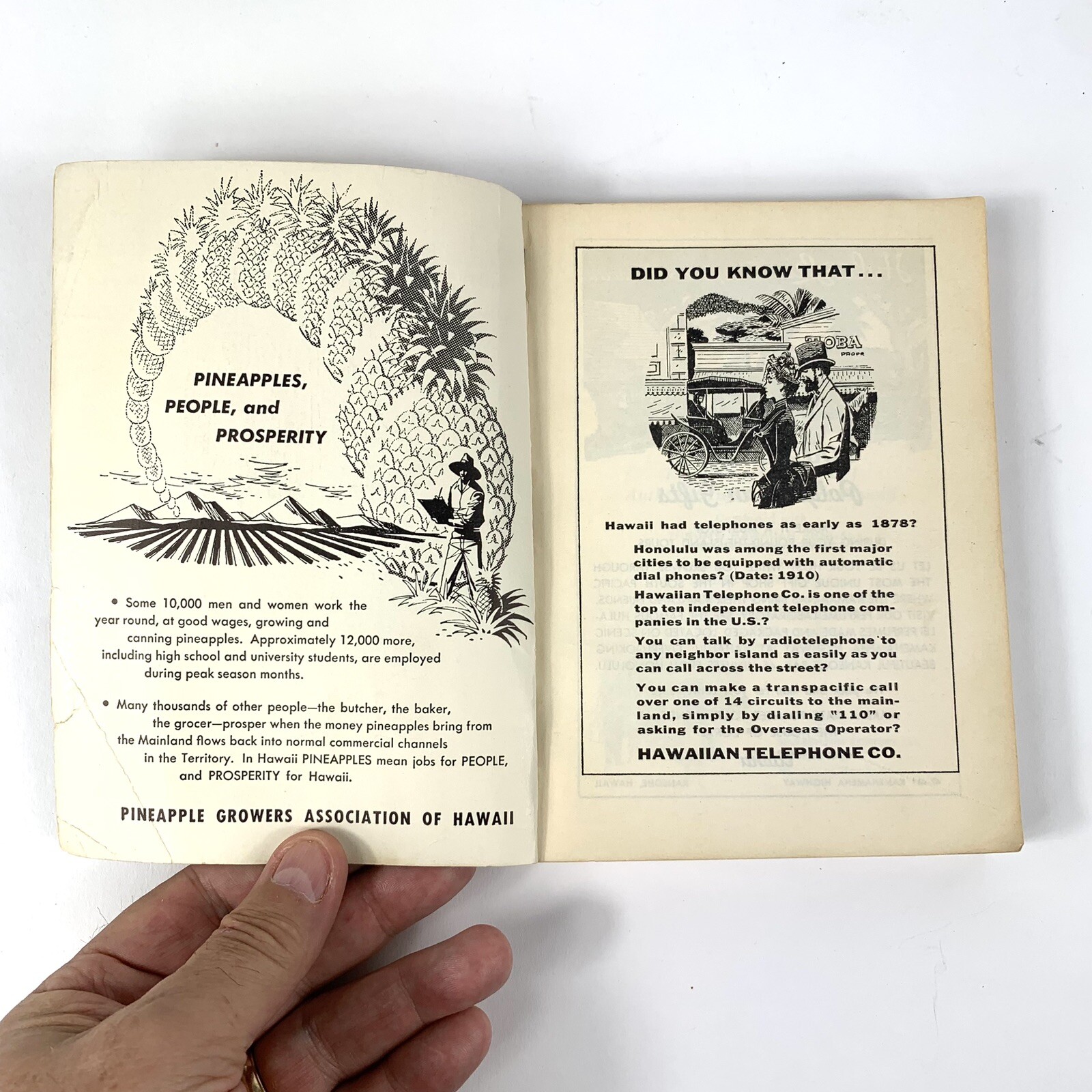 All About Hawaii Thrums Hawaiian Annual 1957 82nd Edition