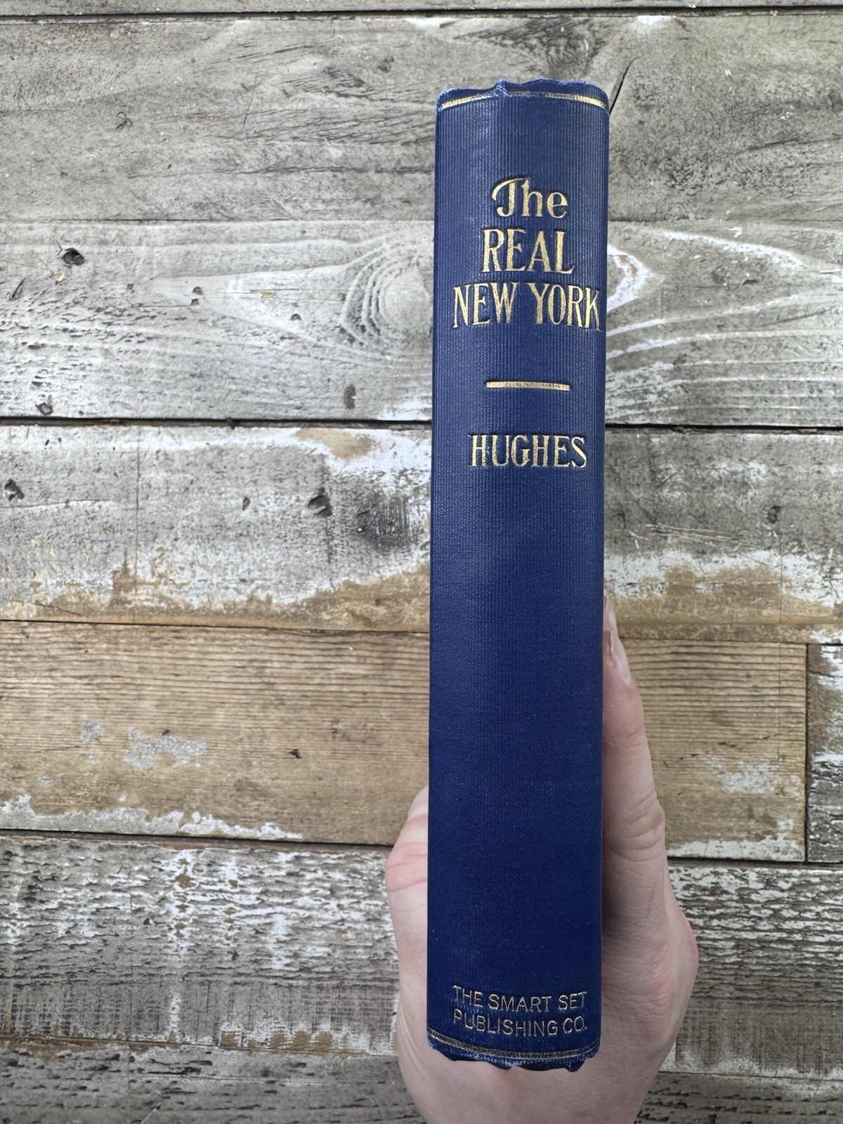 1904 Antique American History “The Real New York” Hughes, Illustrated