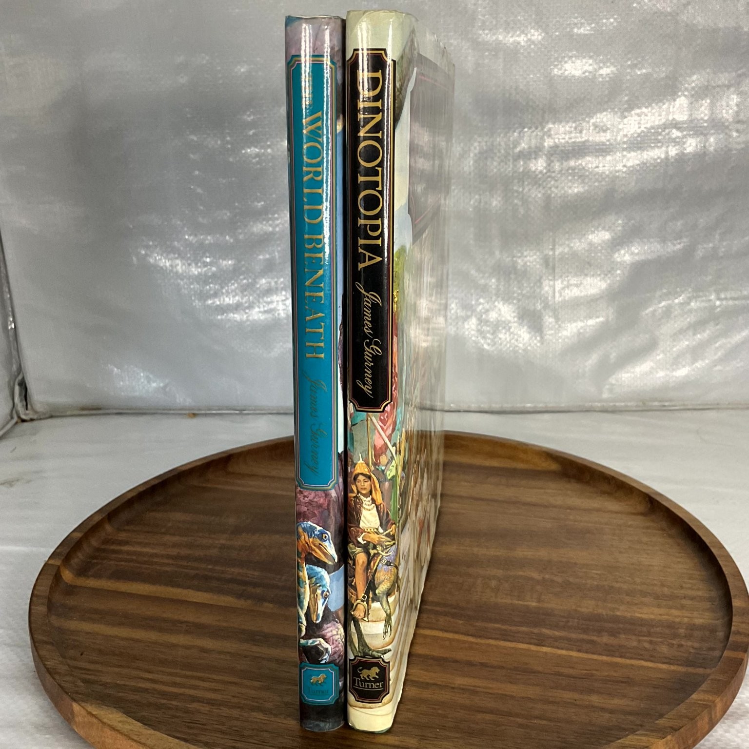 Dinotopia The World Beneath James Gurney 1995 1st Edition Illustrated Fantasy