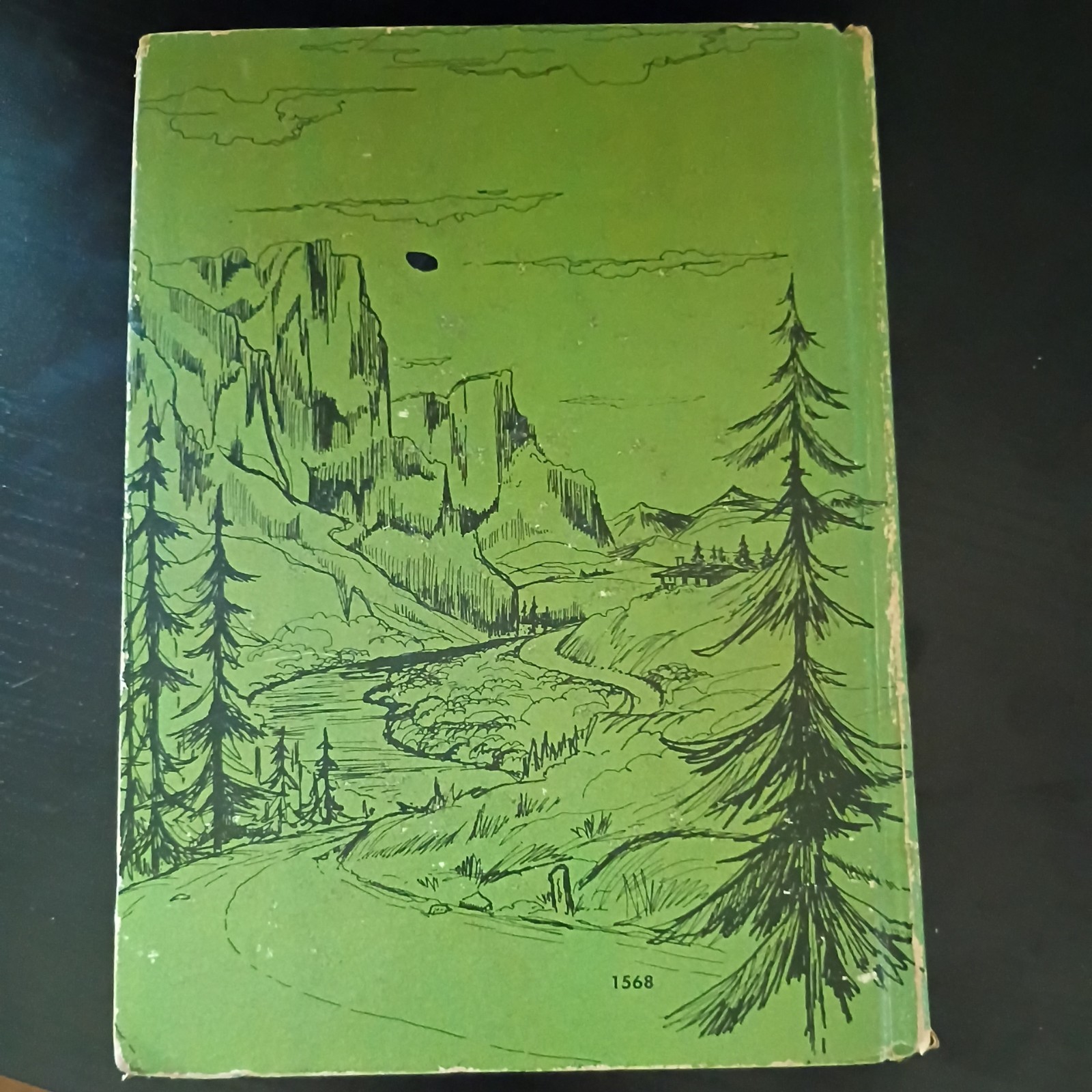 Bonanza Killer Lion 1966 Vintage Whitman Book, Authorized TV Adventure
