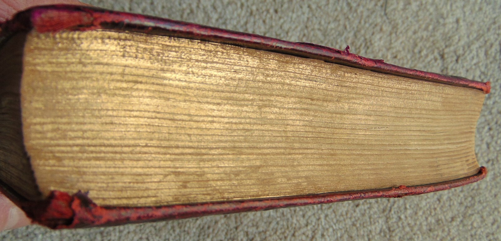 ANTIQUE 1886 BOOK “TENNYSON” ~ EMBOSSED FLORAL LEATHER VICTORIAN COVER