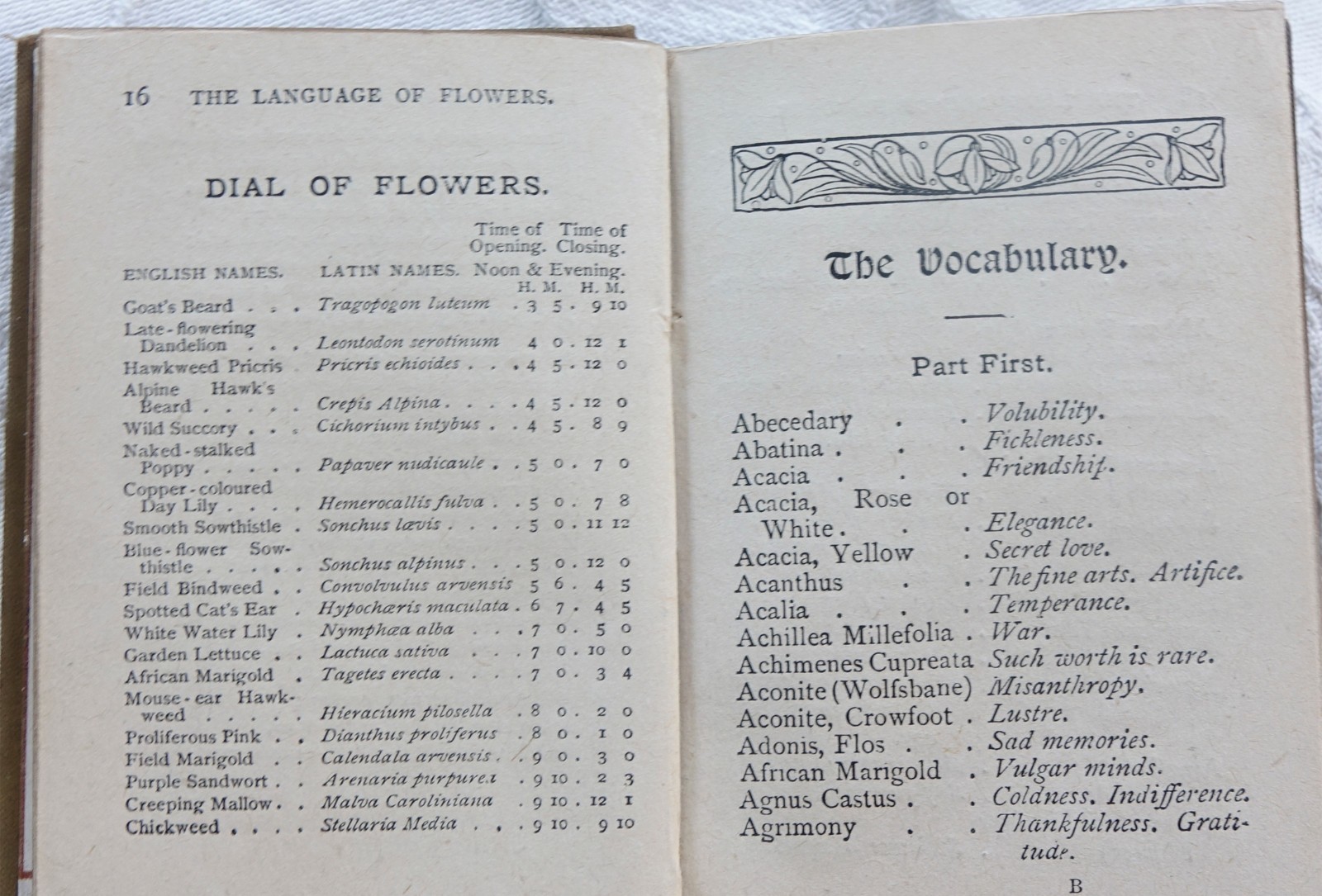 1889 Language of Flowers – Warne’s Bijou Series – MINIATURE