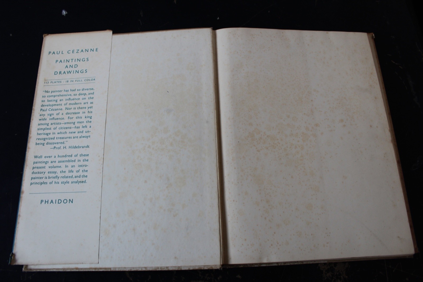 Cézanne Phaidon Art History Book – 113 Plates 18 In Full Color Vintage Hardback