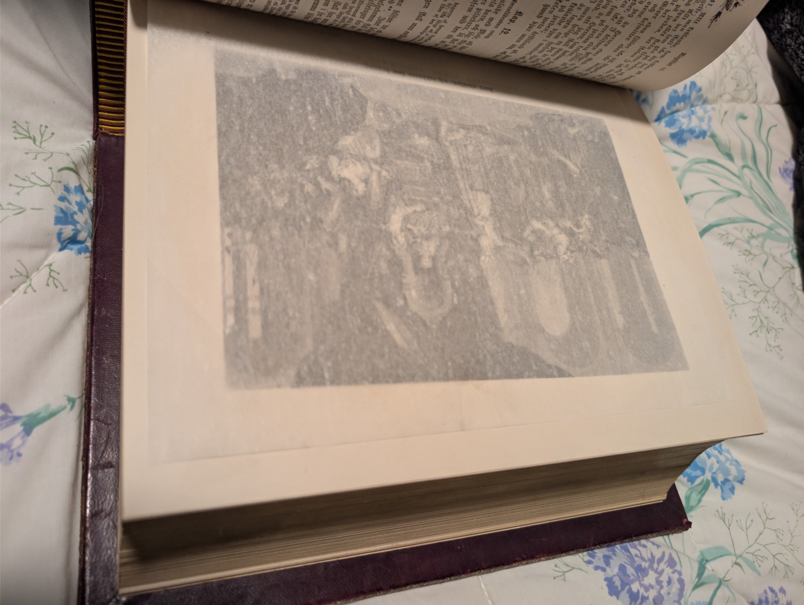 Rare Swedish Illustrated Bible–Den Heliga Skrift, 1880s H. M. Melin/Gustave Doré