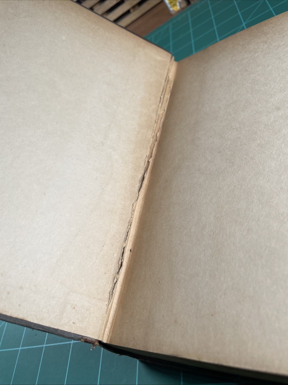 Vintage 1928 Book THE DEVIL by Alfred Neumann ~ Hardcover Alfred A Knopf