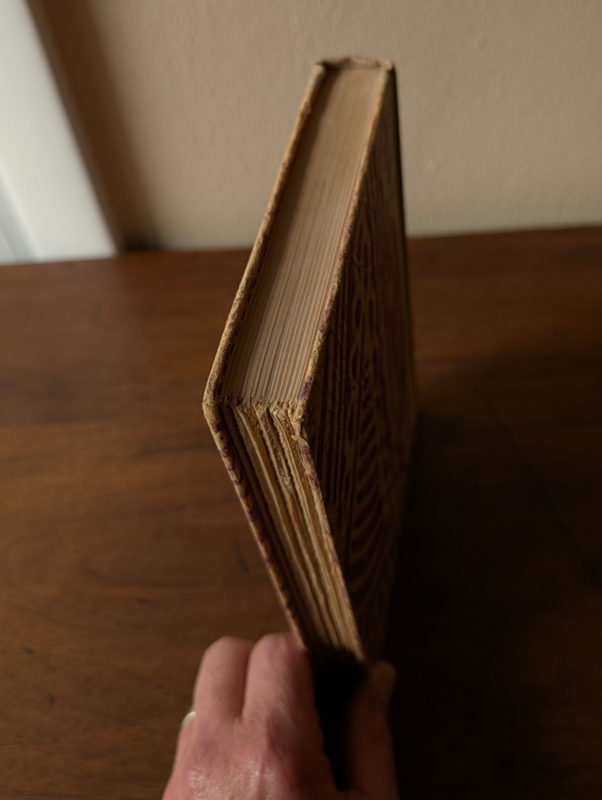 1924 ~ Imaginary Lives by Marcel Schwob RARE HARDCOVER Fin de Siècle Book