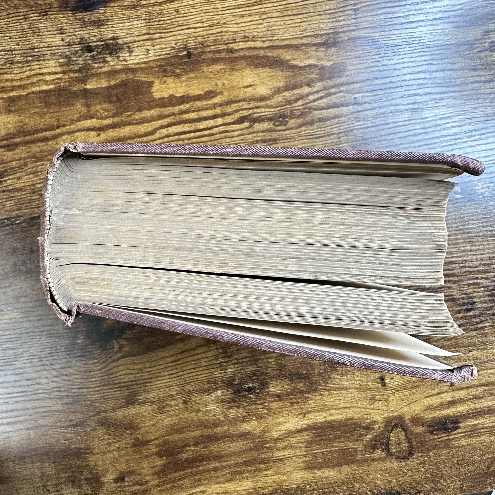 Antique 1896 Goffine’s Devout Instructions Epistles Gospels Catholic Book