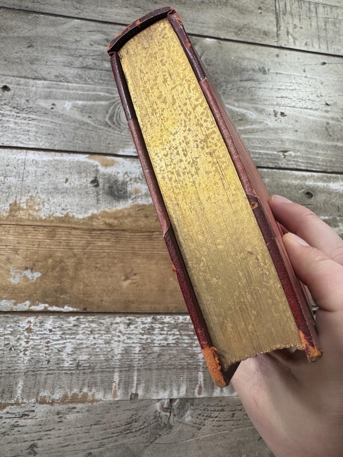 1922 Antique Novel “The Garden of Epicurus” Anatole France, Fine Binding