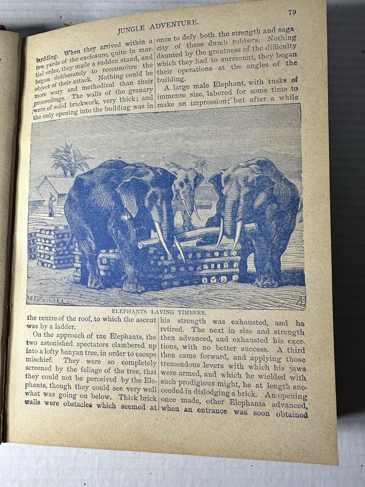 Vintage The King Of The Circus 1902 Book Unknown Publisher And Author 224 Pages