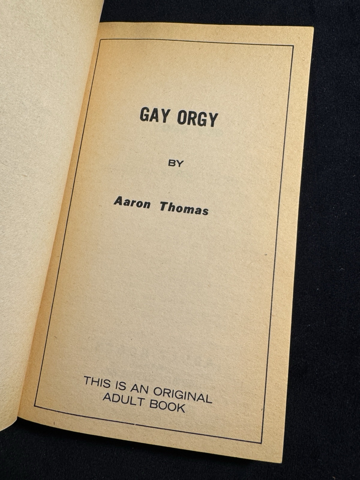 “Gay Orgy” Vintage Pulp Erotica w Darrell Millsap Cover 60s Queer Sleaze !