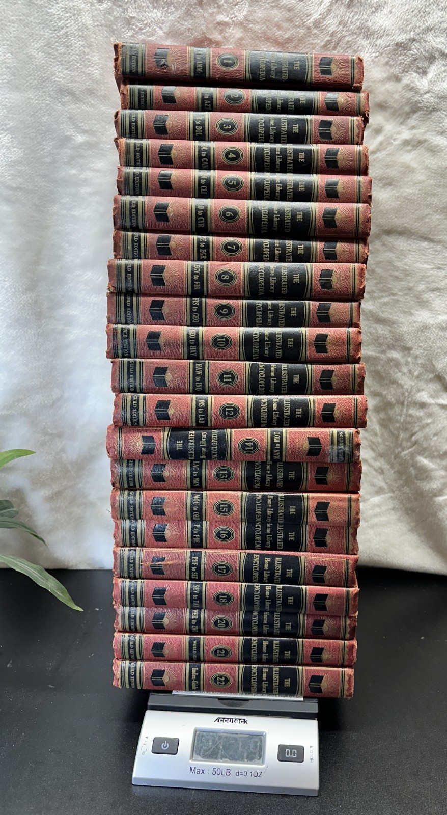 The Illustrated Home Library Encyclopedia Set Vintage (1958) Volume #19 Missing