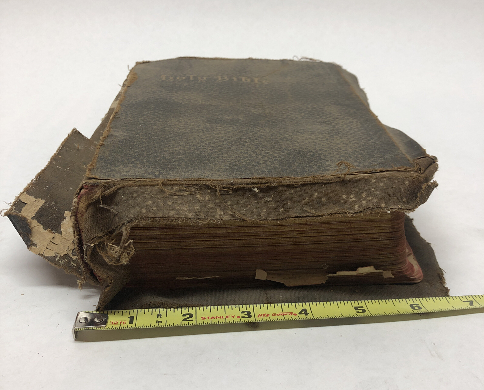 Holy Bible Fine Art Editon The Self-Pronouncing S.S. Teacher’s Combination 1902