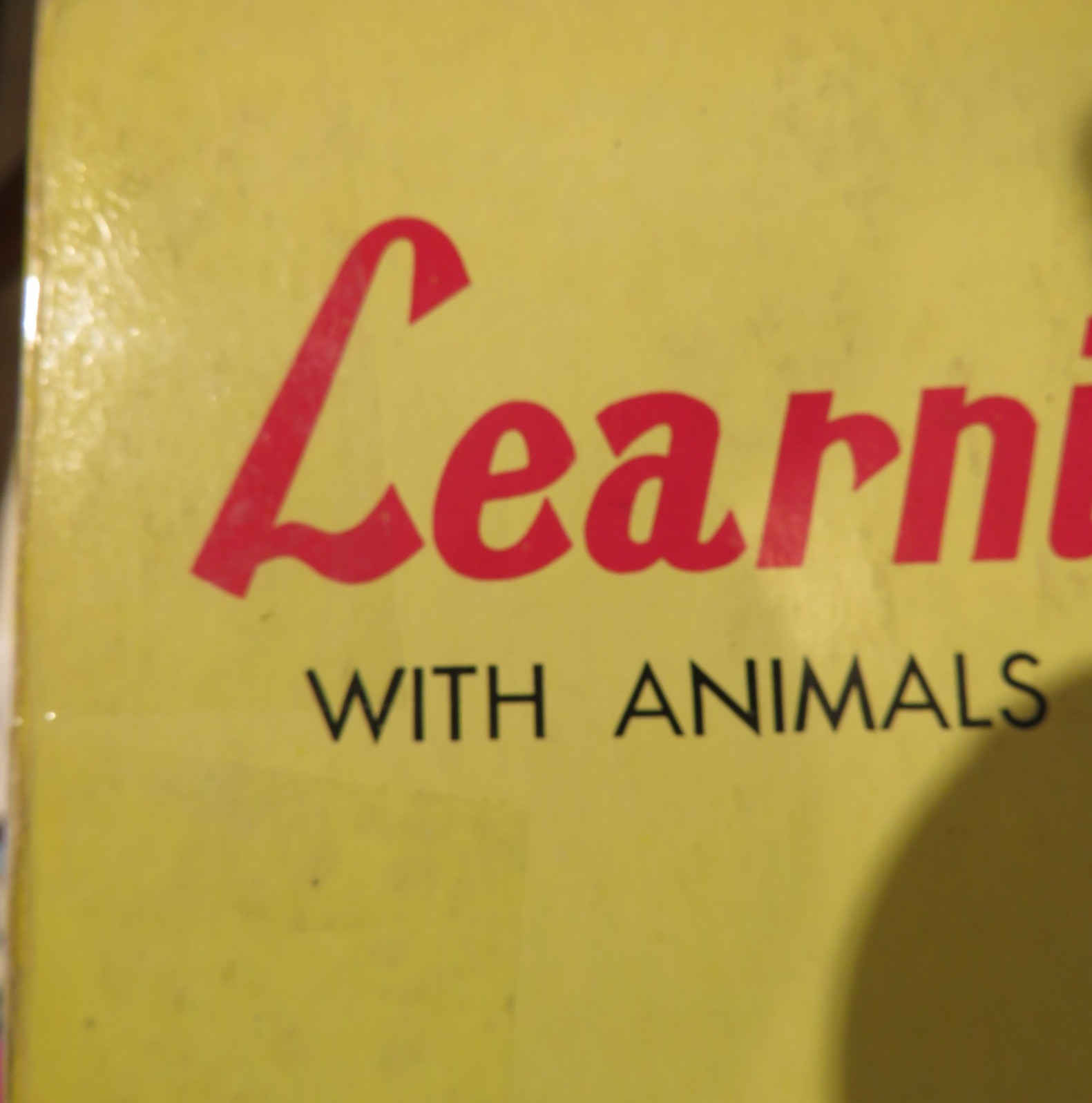 Learning ABC with Animals and Birds Vintage Children’s Board Book Doeisha Kresge