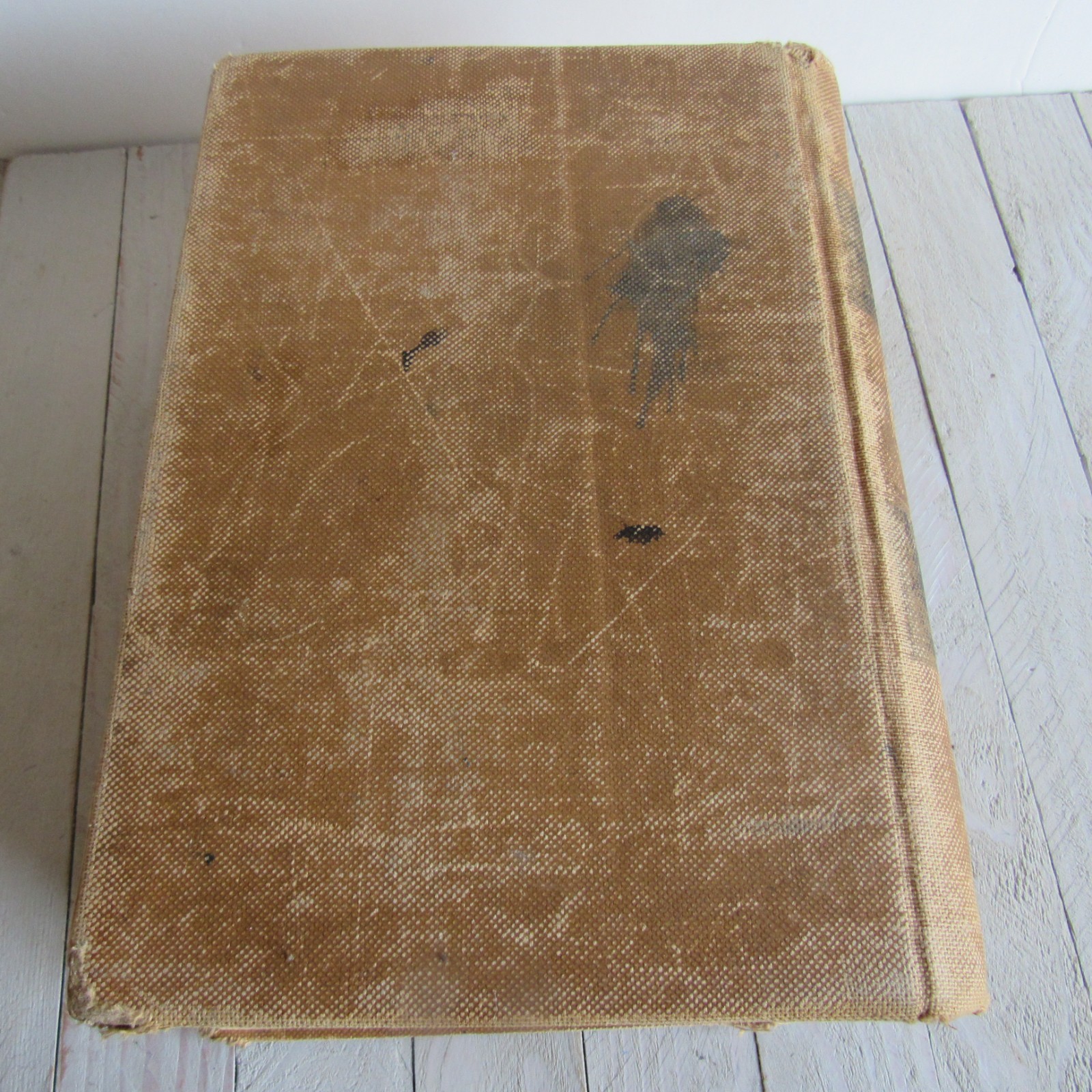 Antique Vtg The Dispensatory of the United States of American 1918 20th Edition