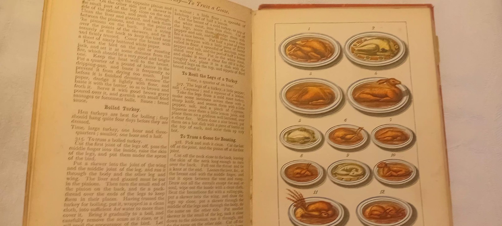C.1891 Hb Warnes Modern Cookery Recipes Practical Advice Mary Jewry