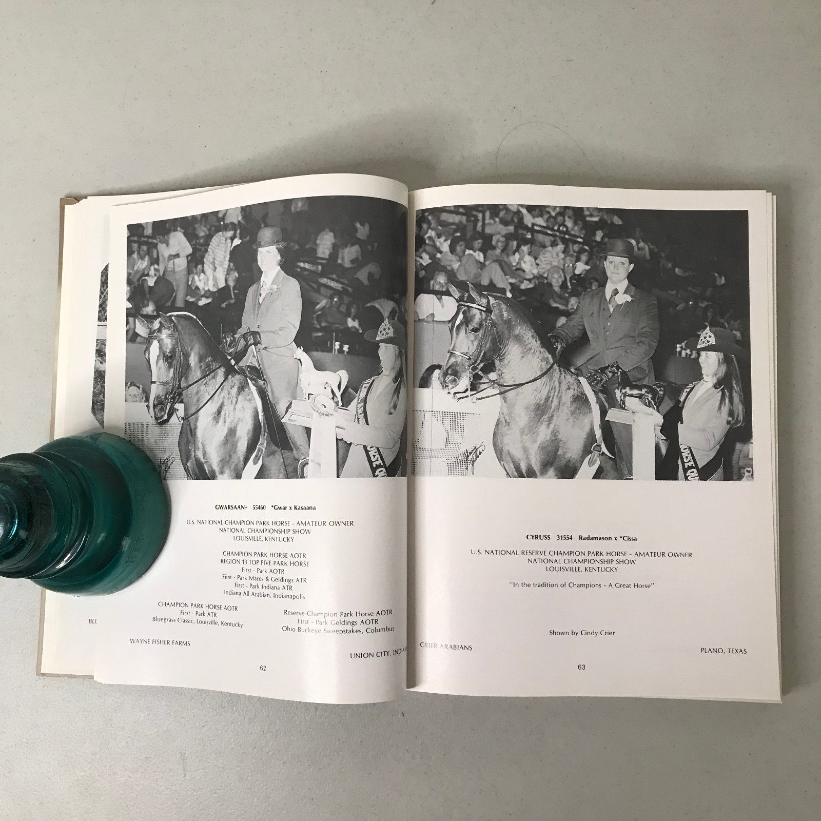 Arabian Horse Yearbook 1976 – Arabian Horse Association – HC