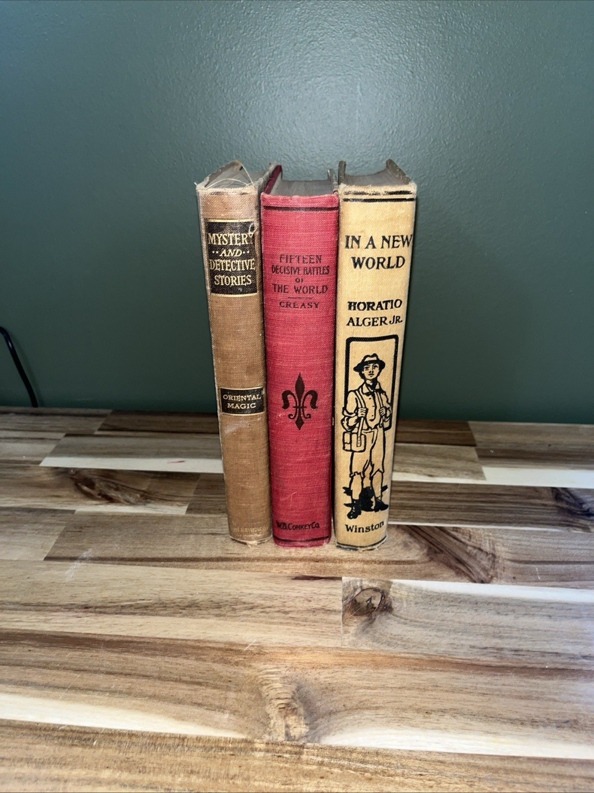 Winston Illustrated Hardcover: In a New World by Horatio Alger Jr. (English)