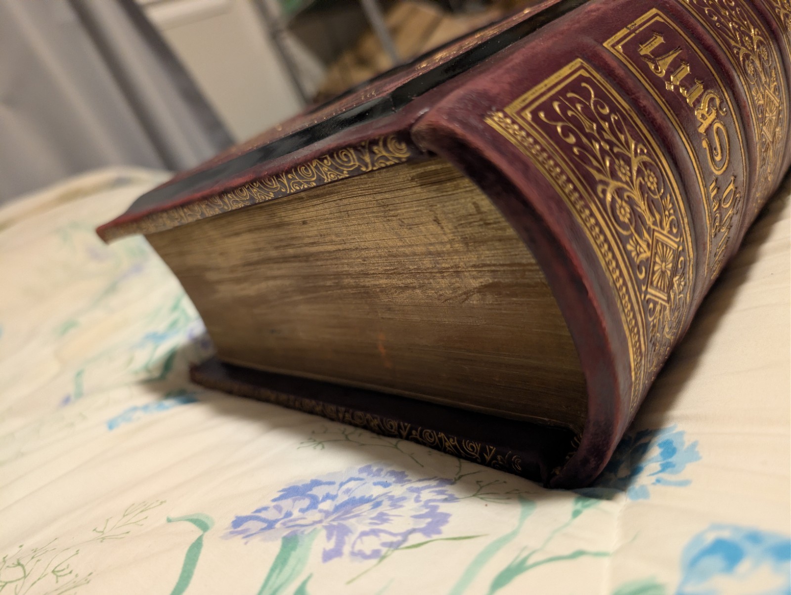 Rare Swedish Illustrated Bible–Den Heliga Skrift, 1880s H. M. Melin/Gustave Doré