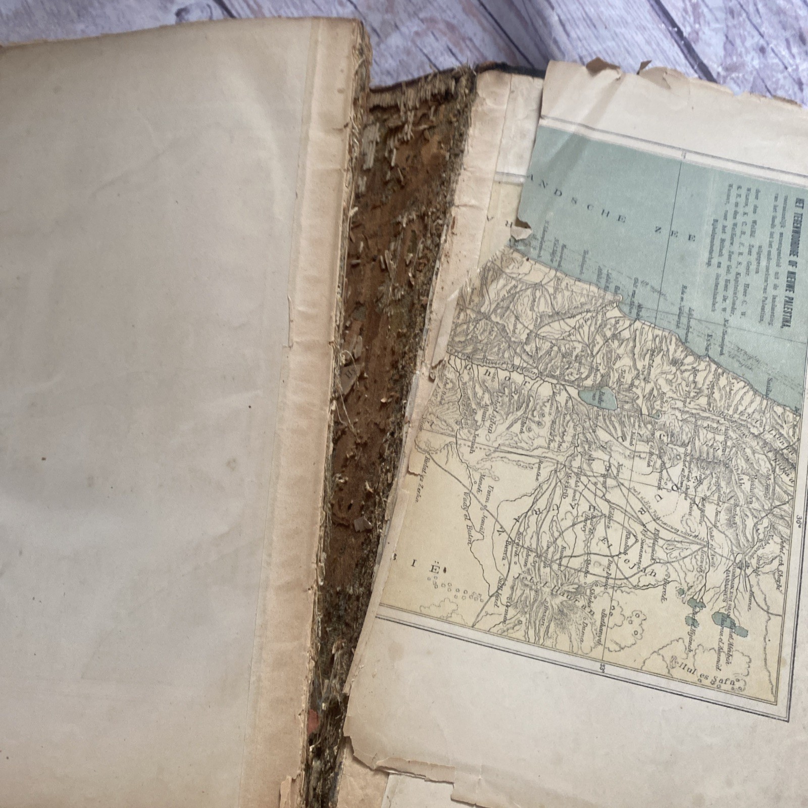 Antique 1893 Dutch Bible Bijbel Netherlands Family Bible Utrecht Leather Bound