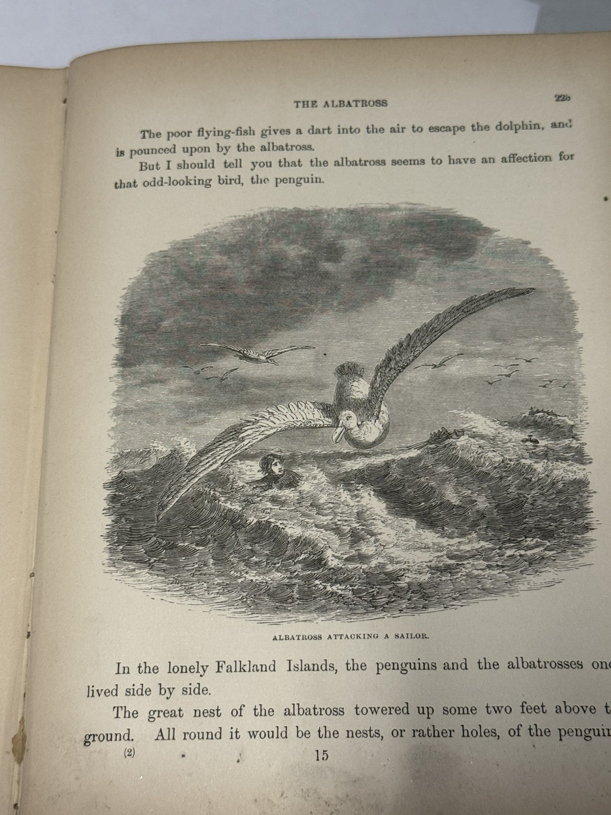 Antique Maritime Book “The Sea and Its Wonders” c.1880s – Ocean Currents Map & A