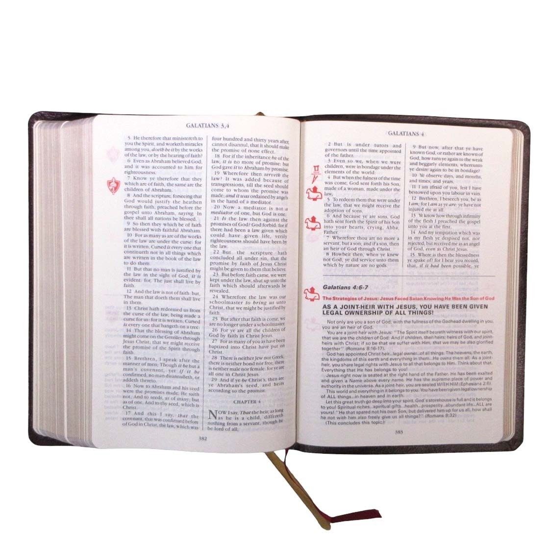 God’s Victorious Army Bible Spiritual Warfare Reference Edition II Leather KJV