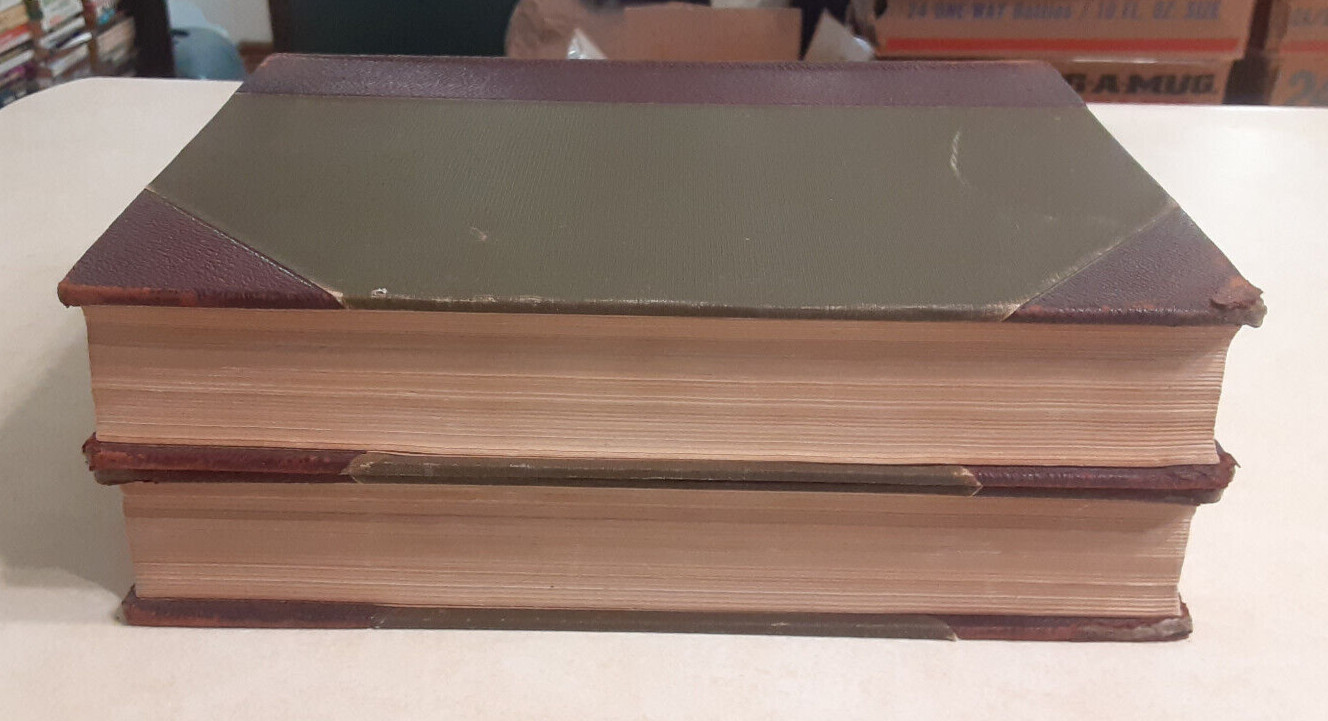 Democratic Party New York State NY History McGuire Vol 2-3 Vintage Antique Books